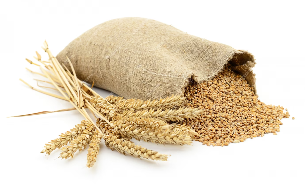 Adjunct Barley Grains